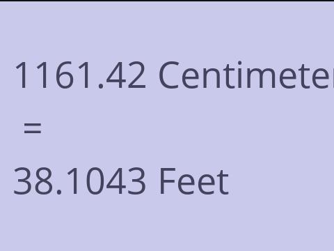 1161.42 CM TO FEET