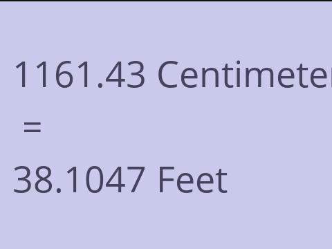 1161.43 CM TO FEET