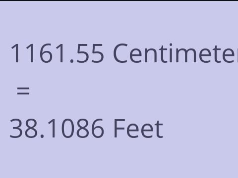 1161.55 CM TO FEET