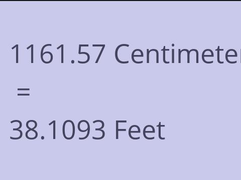 1161.57 CM TO FEET