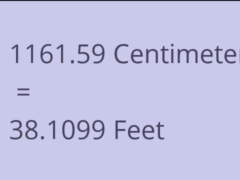 1161.59 CM TO FEET