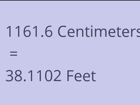 1161.6 CM TO FEET