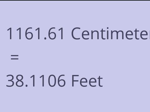 1161.61 CM TO FEET