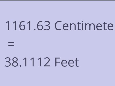 1161.63 CM TO FEET