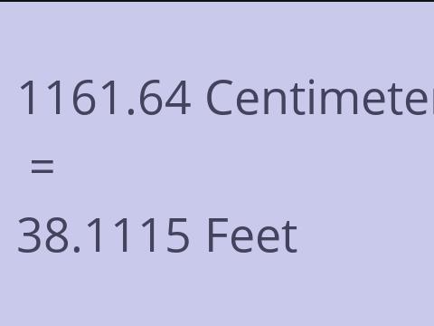 1161.64 CM TO FEET