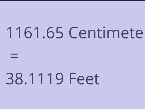 1161.65 CM TO FEET