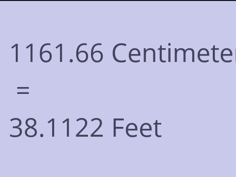 1161.66 CM TO FEET