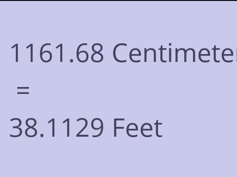 1161.68 CM TO FEET