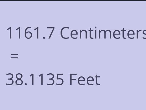 1161.7 CM TO FEET