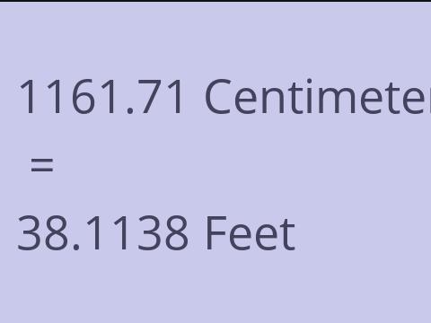 1161.71 CM TO FEET