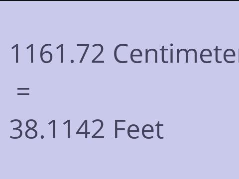 1161.72 CM TO FEET