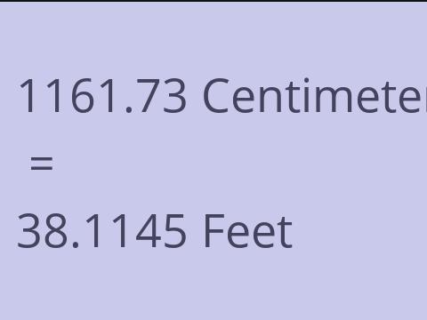 1161.73 CM TO FEET