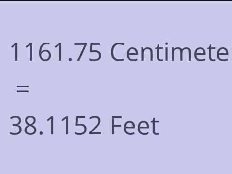 1161.75 CM TO FEET