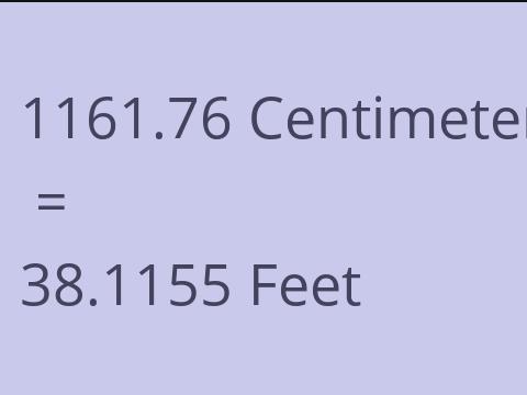 1161.76 CM TO FEET