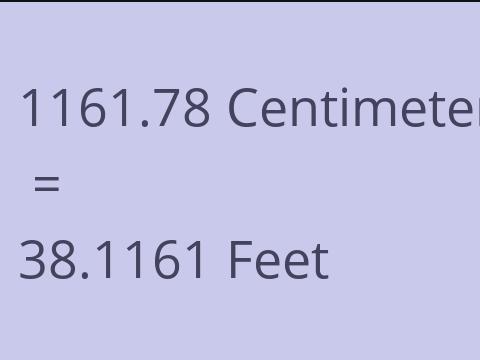 1161.78 CM TO FEET