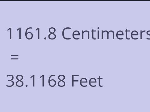 1161.8 CM TO FEET