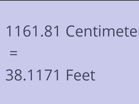 1161.81 CM TO FEET