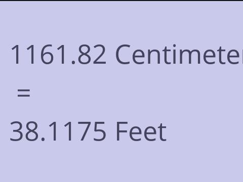 1161.82 CM TO FEET