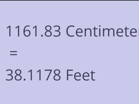 1161.83 CM TO FEET