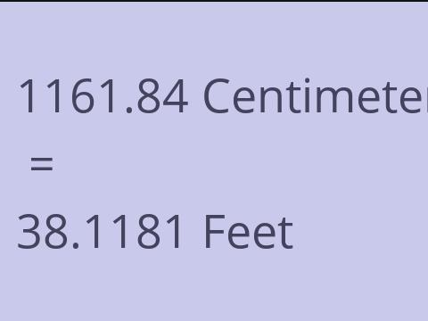 1161.84 CM TO FEET