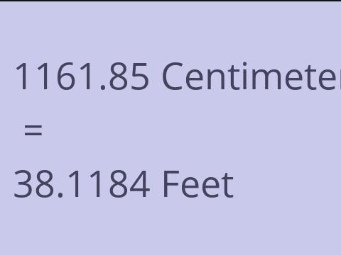 1161.85 CM TO FEET