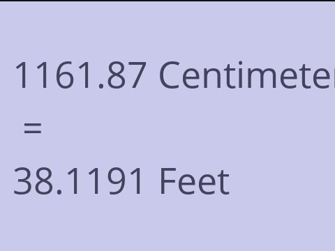 1161.87 CM TO FEET