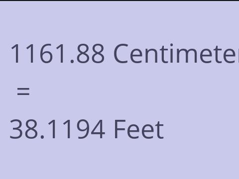 1161.88 CM TO FEET