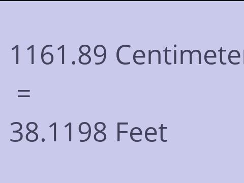 1161.89 CM TO FEET