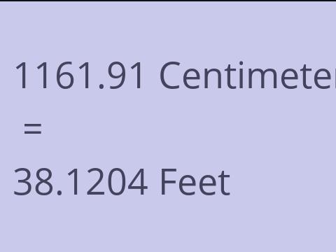 1161.91 CM TO FEET