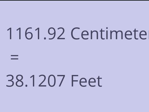 1161.92 CM TO FEET