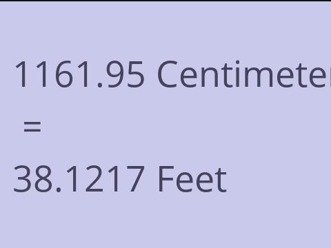 1161.95 CM TO FEET