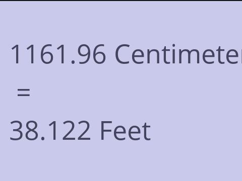 1161.96 CM TO FEET