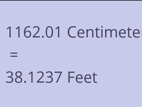 1162.01 CM TO FEET