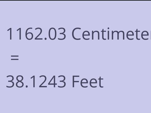 1162.03 CM TO FEET