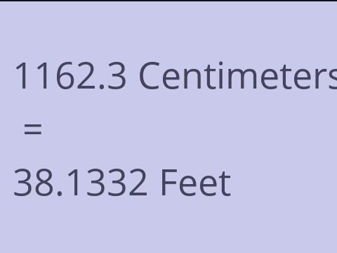 1162.3 CM TO FEET