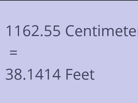 1162.55 CM TO FEET