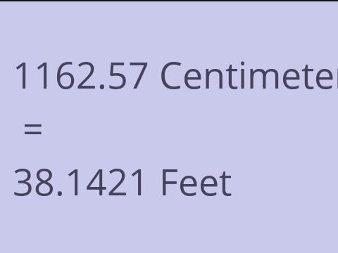 1162.57 CM TO FEET