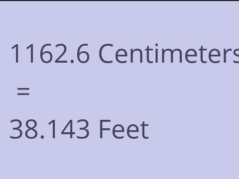 1162.6 CM TO FEET