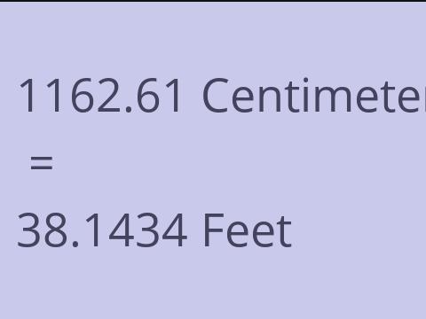 1162.61 CM TO FEET