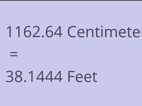 1162.64 CM TO FEET