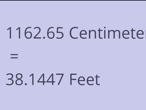 1162.65 CM TO FEET