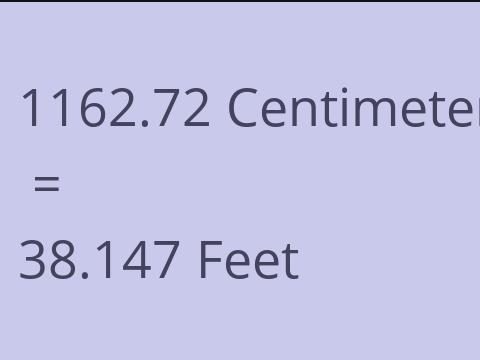 1162.72 CM TO FEET