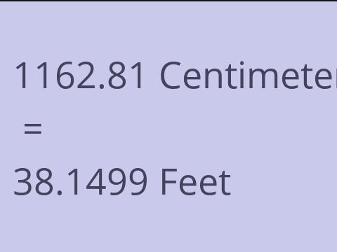 1162.81 CM TO FEET