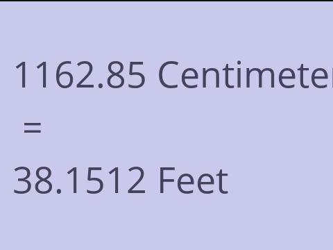 1162.85 CM TO FEET