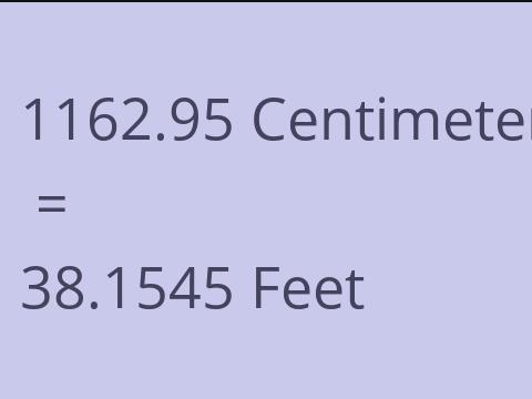 1162.95 CM TO FEET