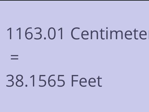 1163.01 CM TO FEET