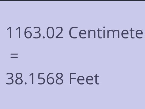 1163.02 CM TO FEET