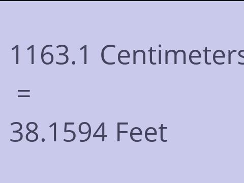 1163.1 CM TO FEET