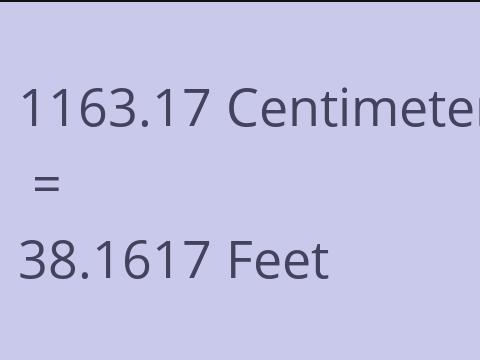 1163.17 CM TO FEET