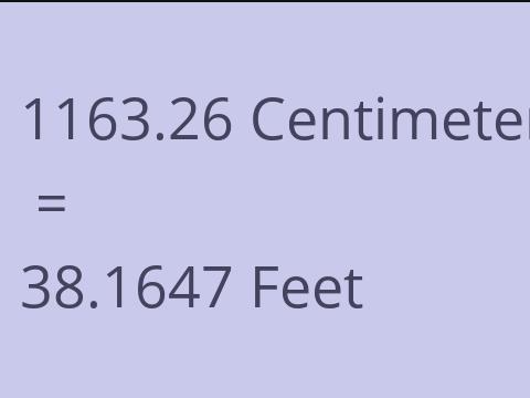 1163.26 CM TO FEET